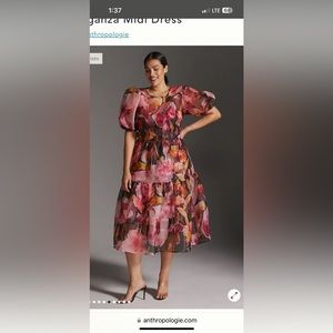 Anthropologie Floral organza Midi Dress